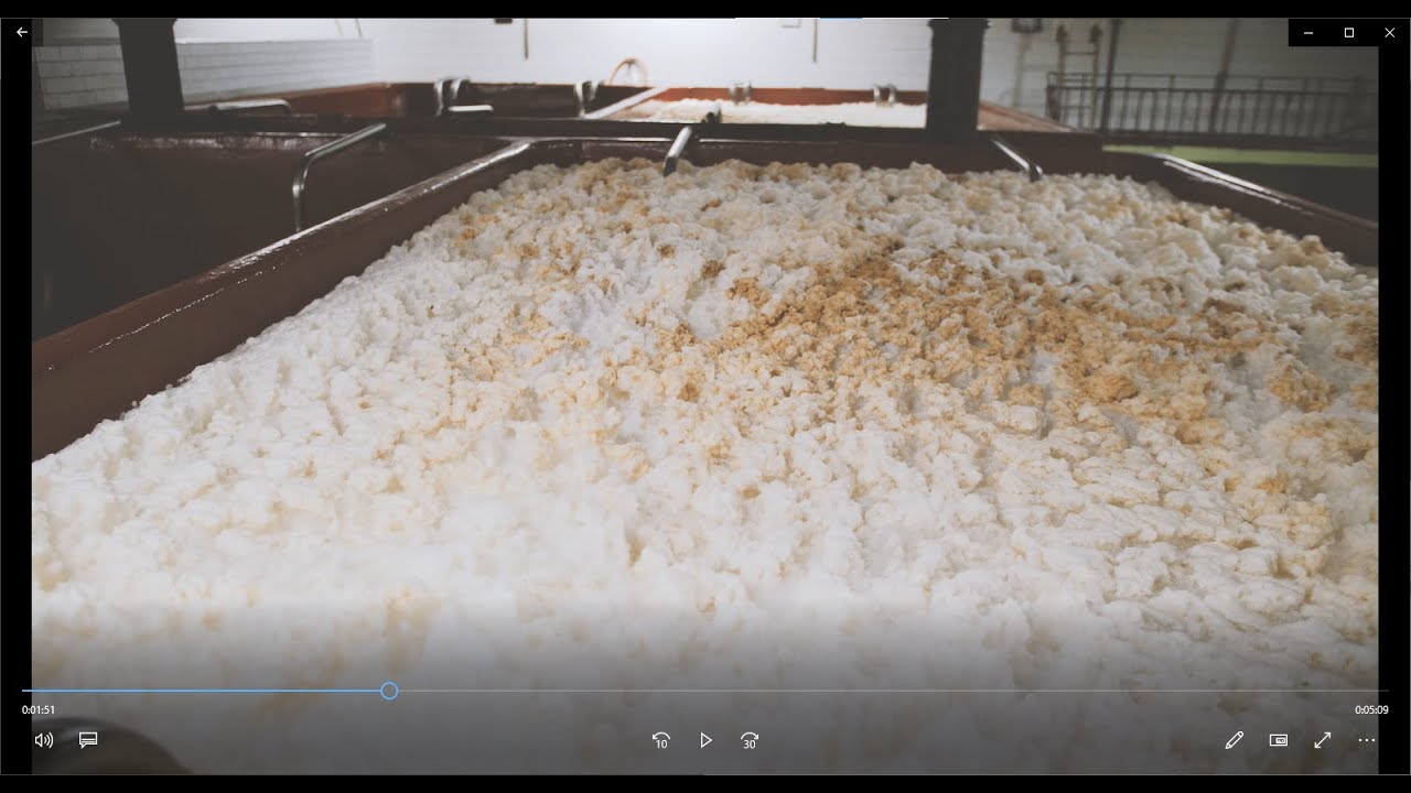 Tradiční výroba českého piva