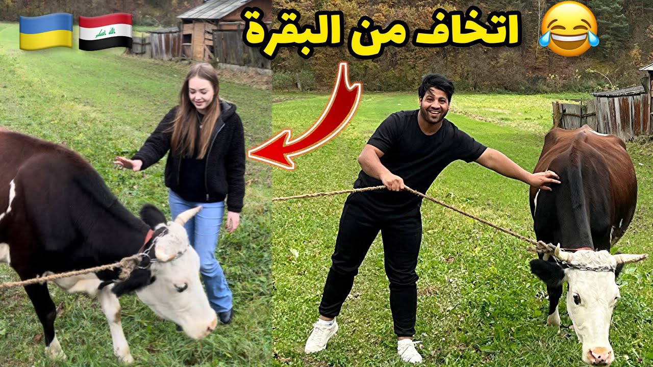 راح نشتري بقرة لجد و الجدة 🐄 _ اسعار البيوت حاليا صدمة _ فلوك الريف الاوكراني 🇺🇦🇮🇶| مصطفى ستار