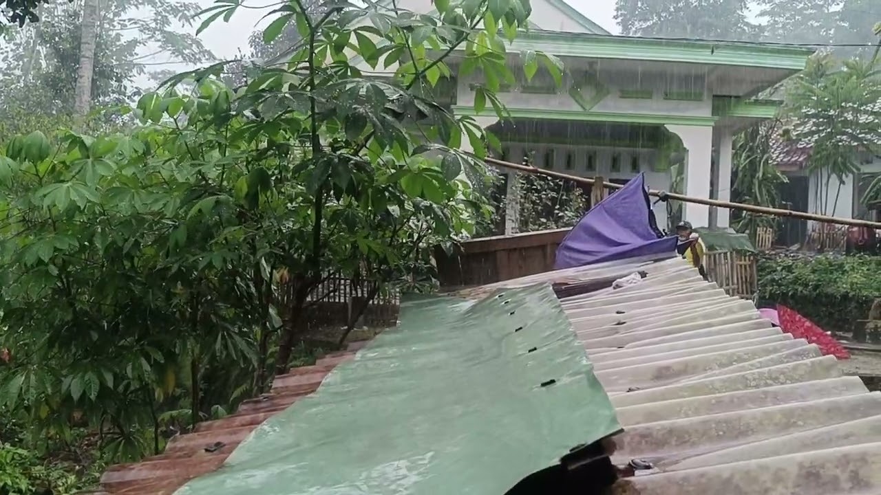 the rain this afternoon was really very heavy 