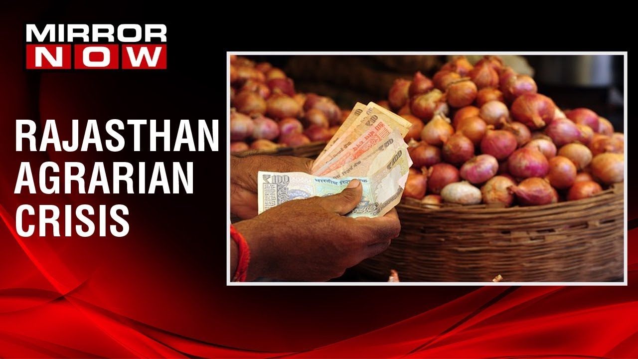 Rajasthan: Farmers destroy crops as onion prices drop further