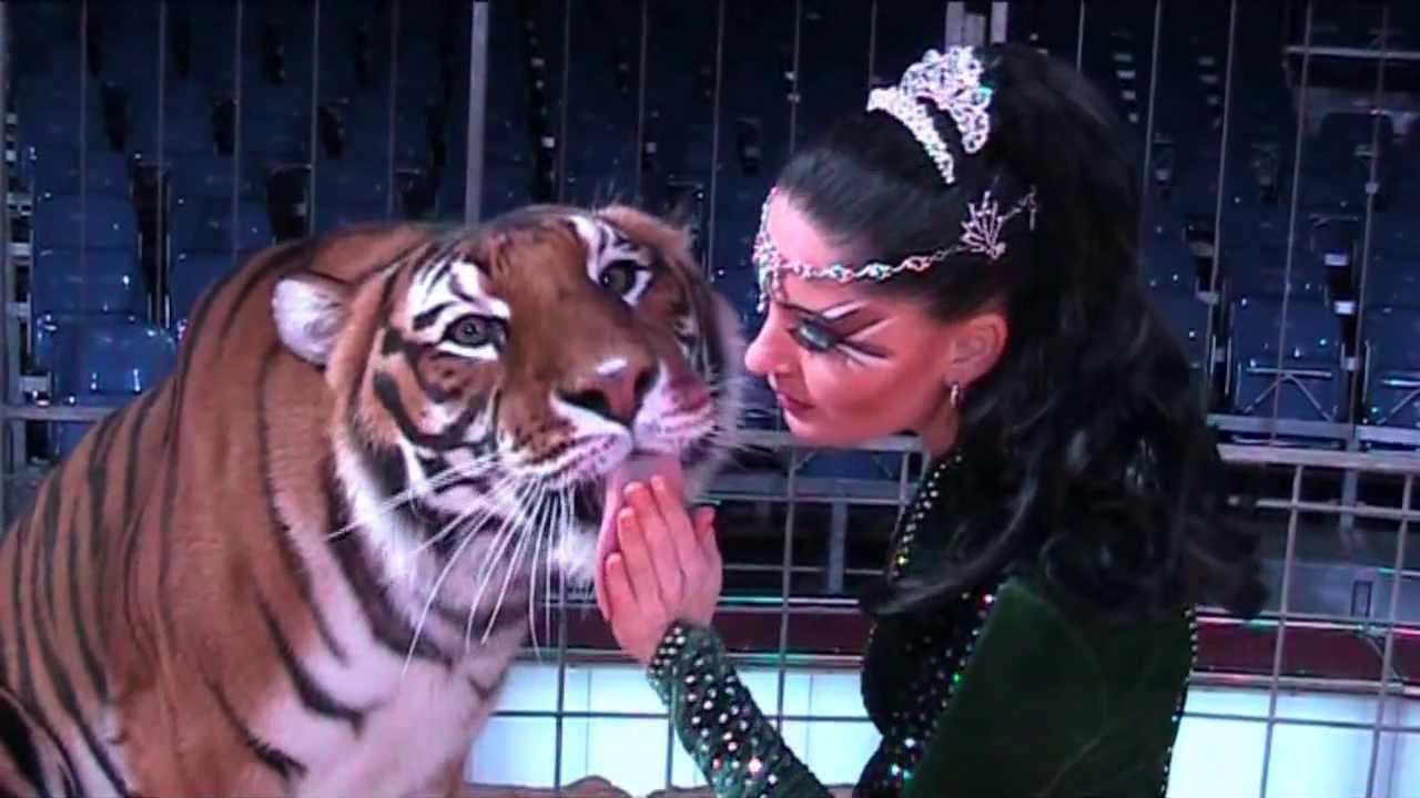 Carmen Zander The Queen of Tigers 2014
