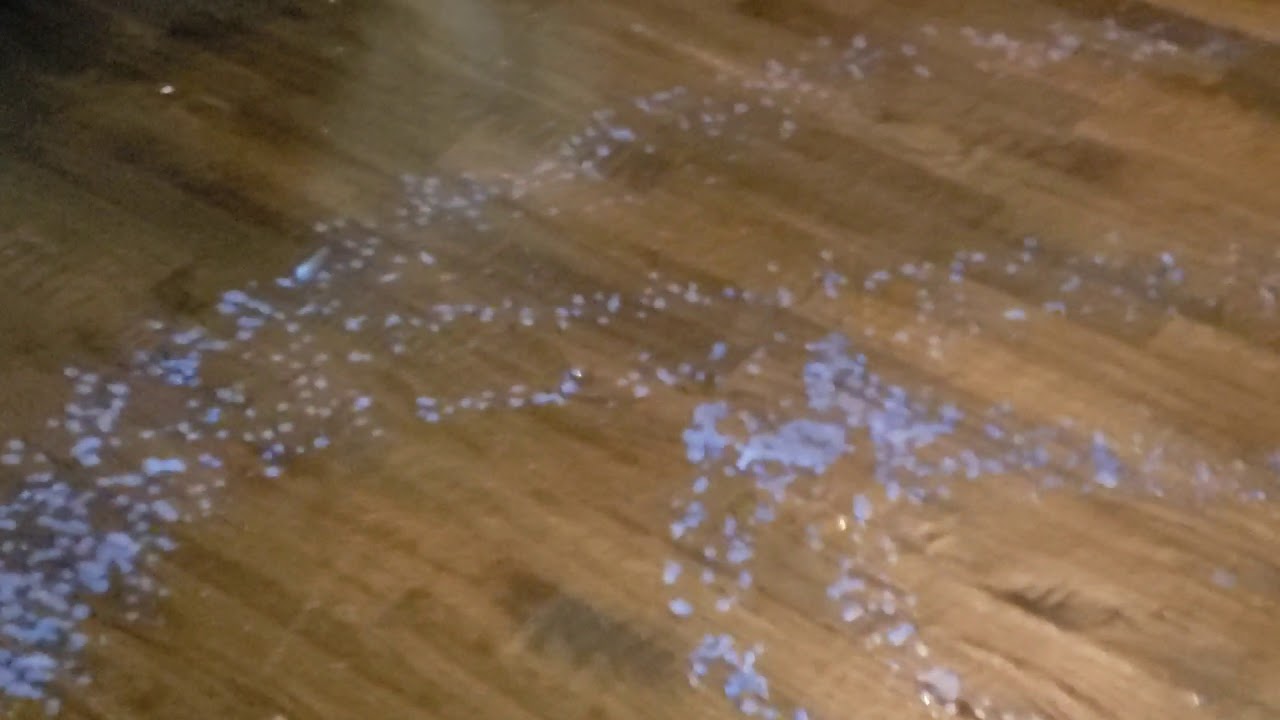 Orange glo polishes harwood floor