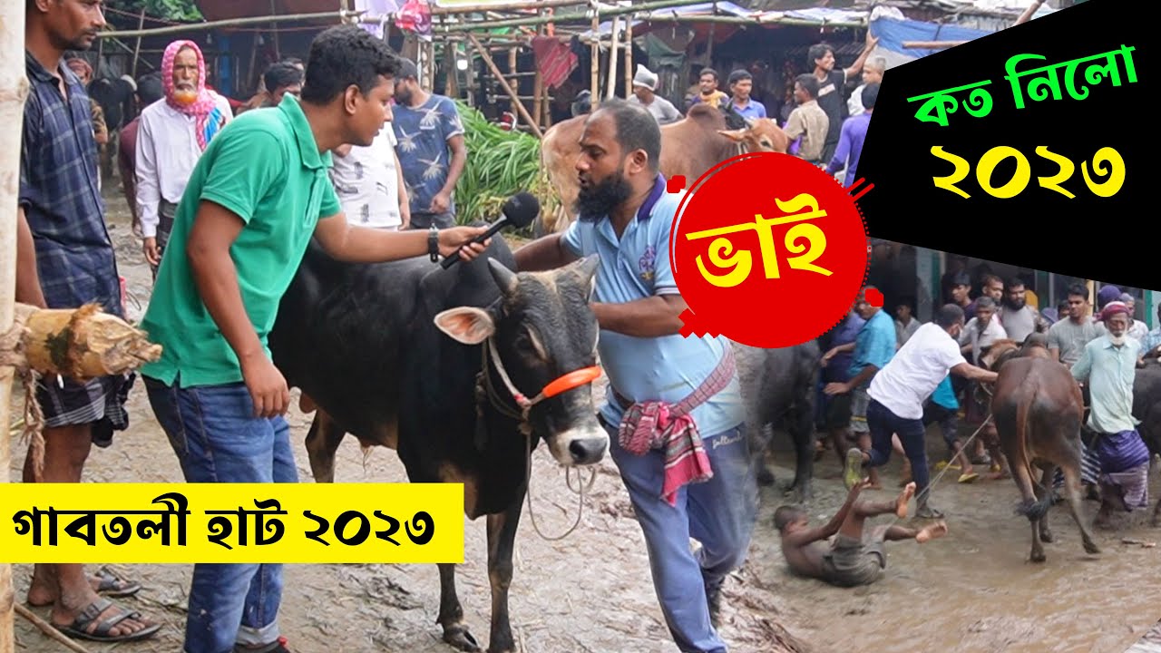 ভাই কত নিলো ২০২৩ গাবতলী ! Vai koto nilo 2023 || গাবতলী হাট 2023 || গরুর দাম 2023 || কৃষি ঘর