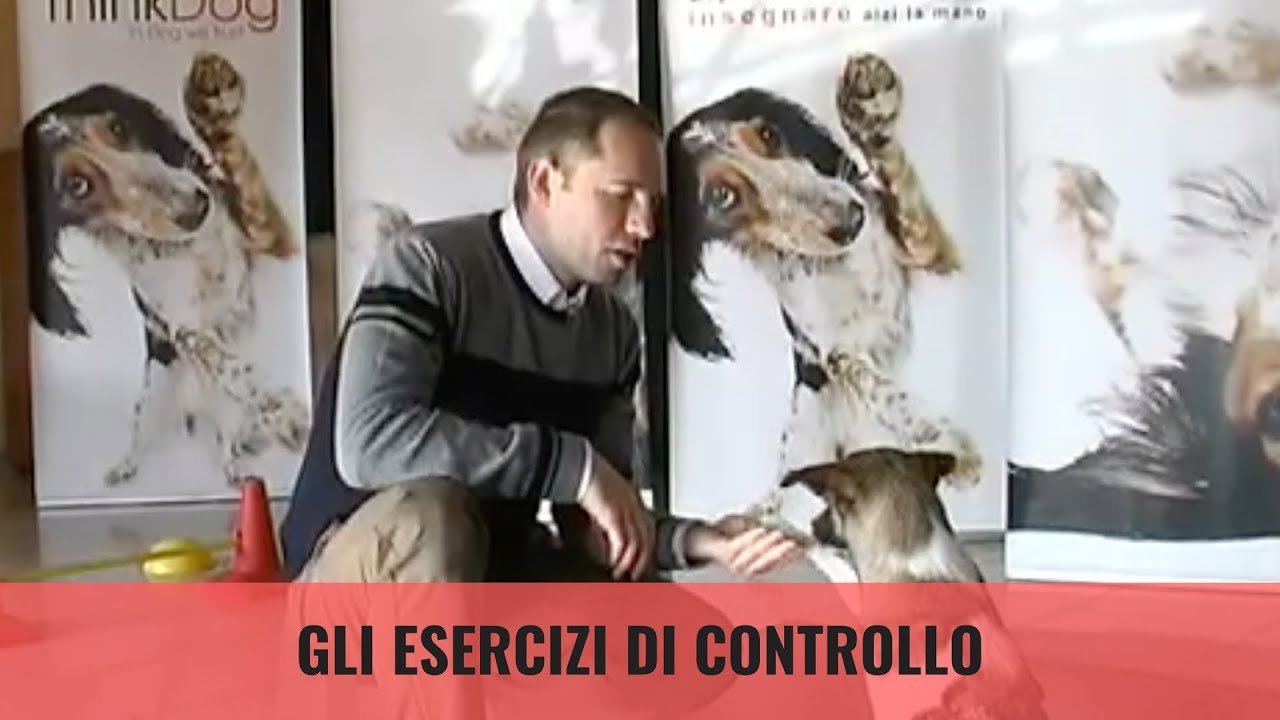 Gli esercizi di controllo