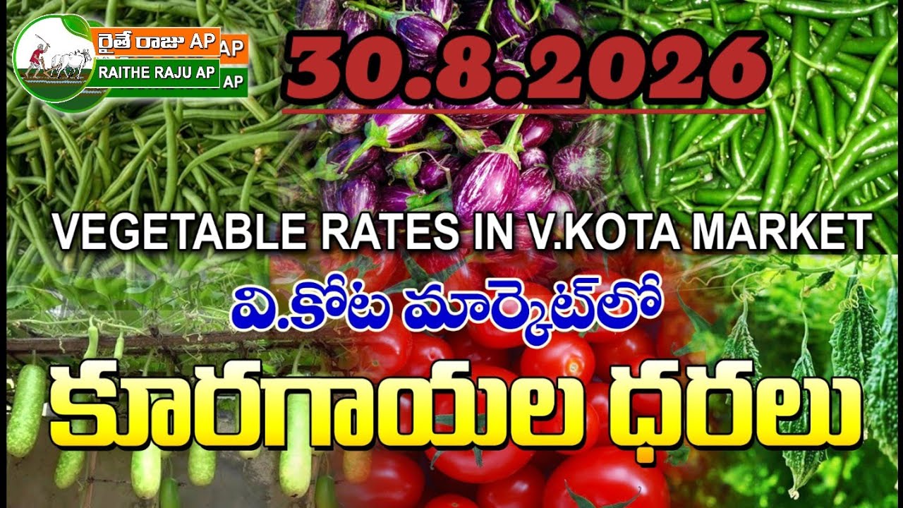 #all  V Kota vegetable market price ఈరోజు వి కోట కూరగాయల ధరలు.# today vegetable prices #agricultur