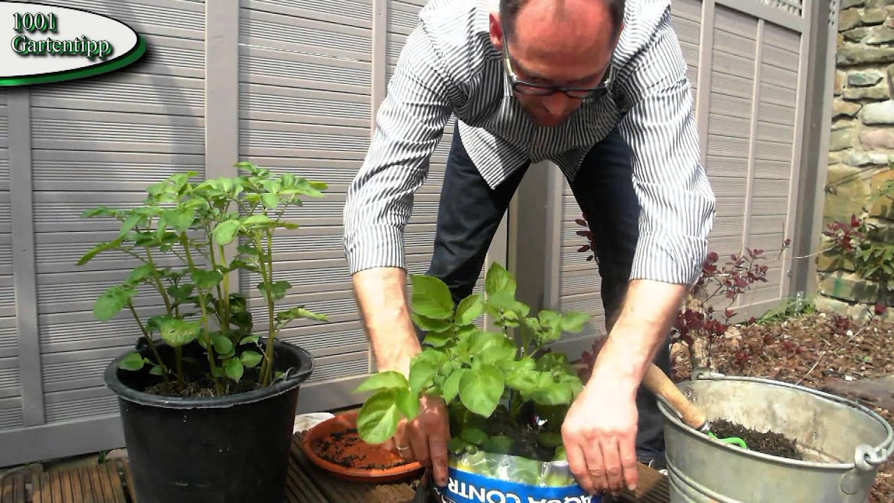Gartentipp M&auml;rz 0317 Kartoffeln im Sack f&uuml;r Balkon Terasse und Garten