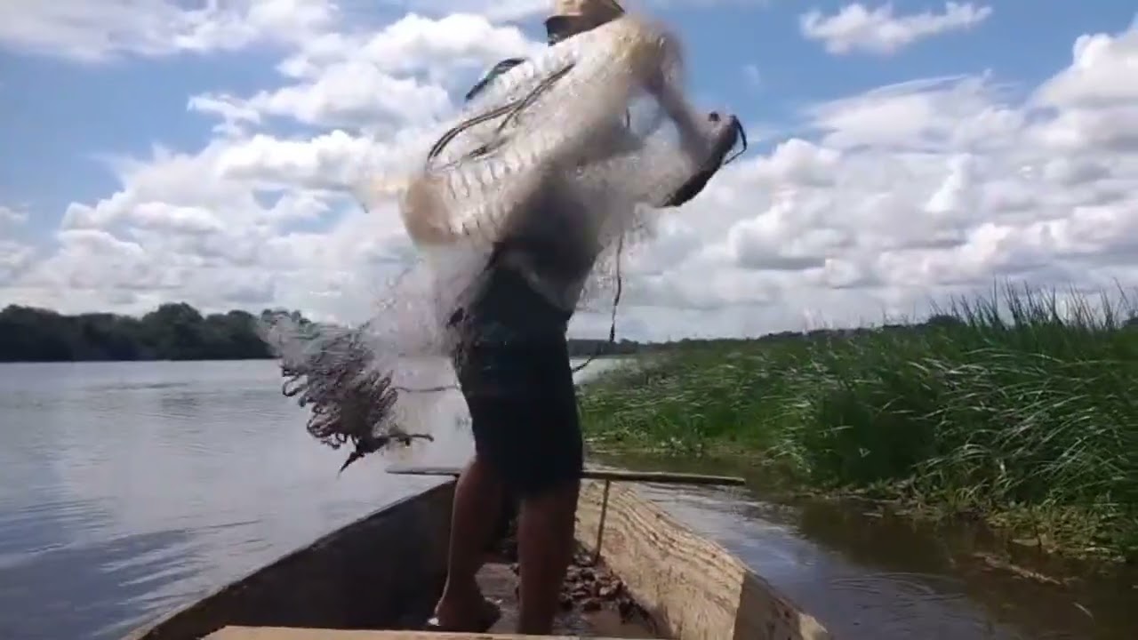 De volta a pescaria de tarrafa e muito tucunaré 