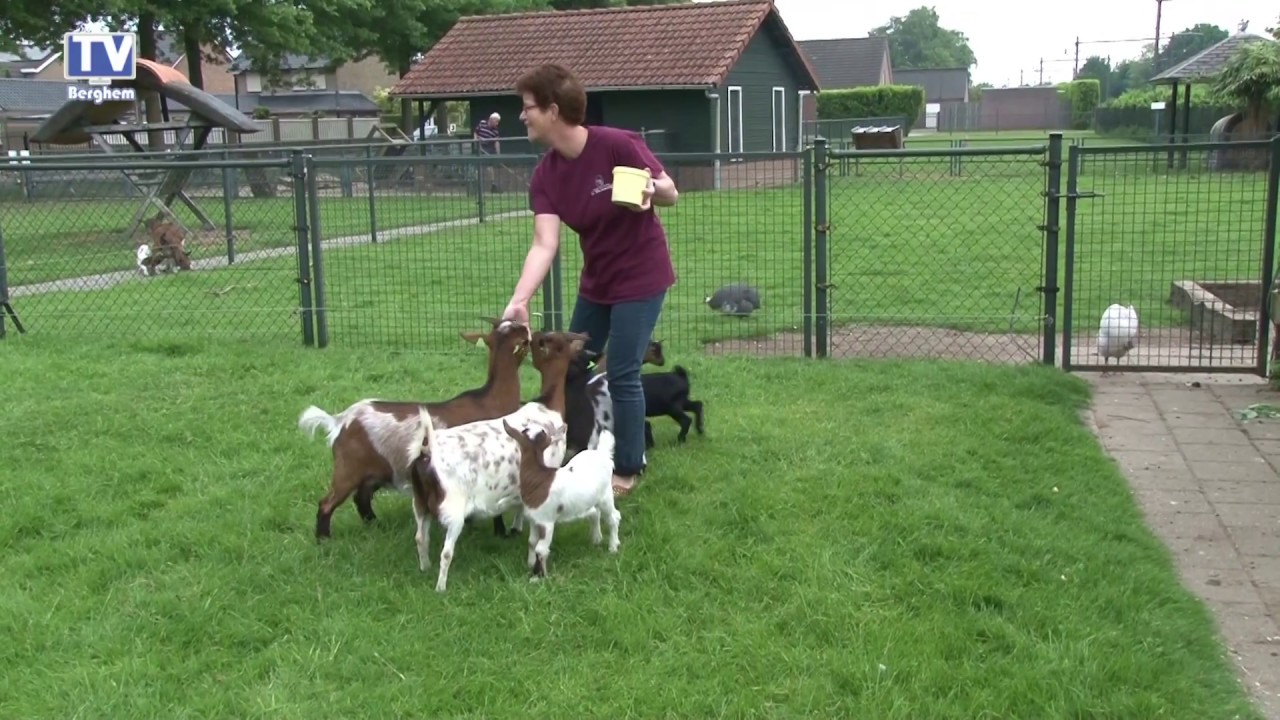 Vrijwilligers van kinderboerderij De Beestenbergh
