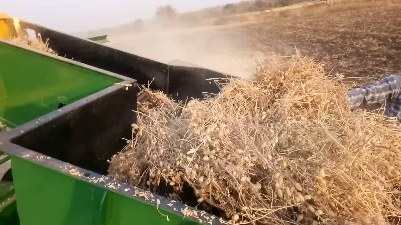 Auto feeding multi crop cutter thresher 8989110981 & 9993951479 & 9001690062 & whatsapp --7877516416
