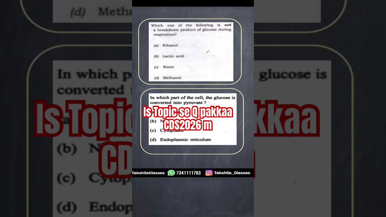 Дыхание | Биология для CDS\NDA\CAPF 