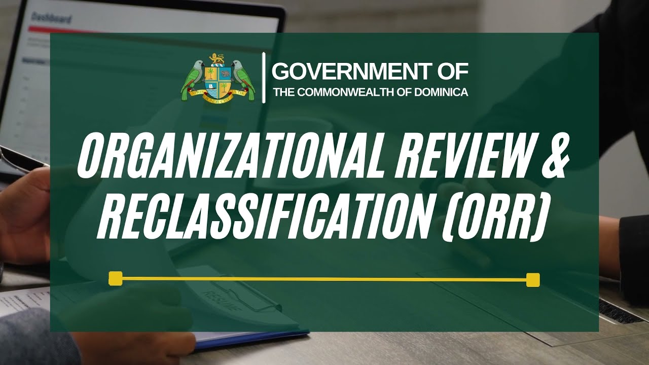 Organizational Review and Reclassification: Phase 3 and 4