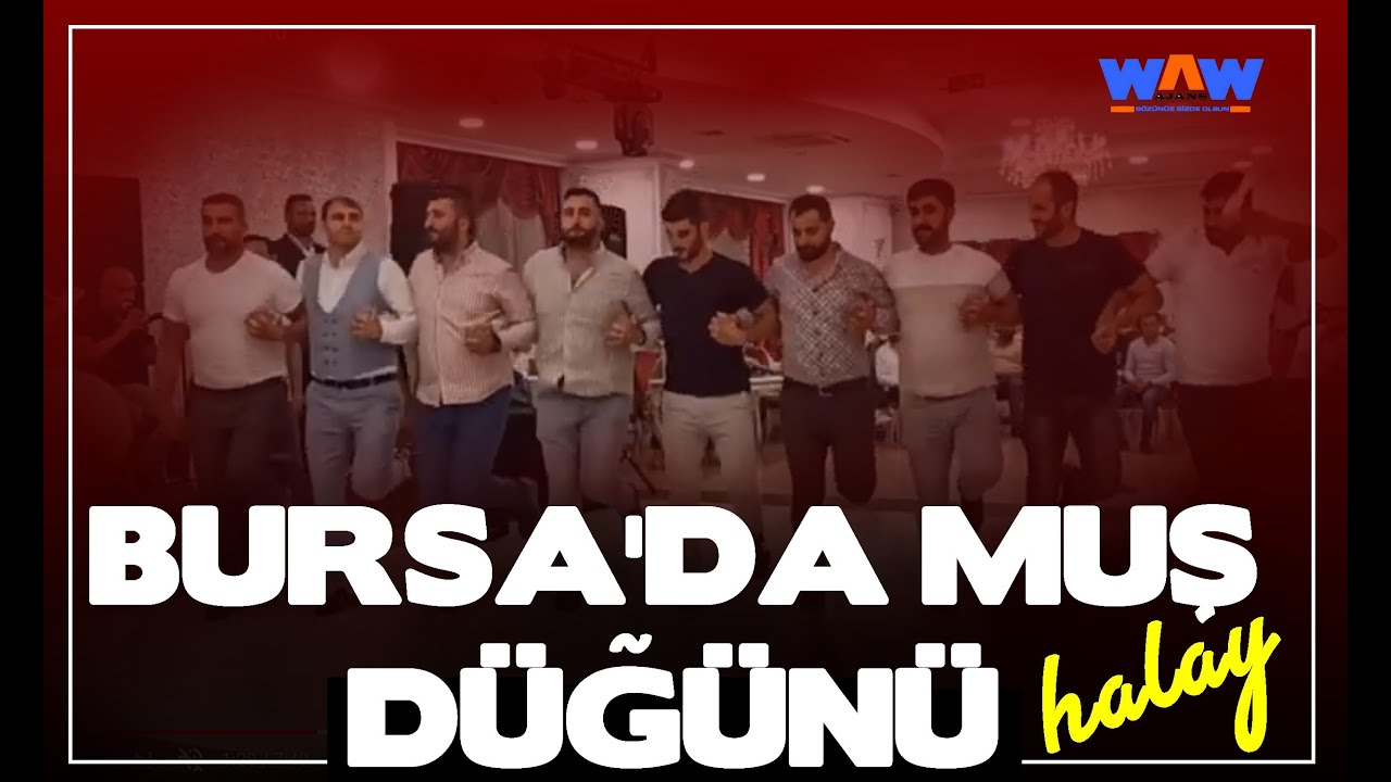 Bursa'da Muş Düğünü