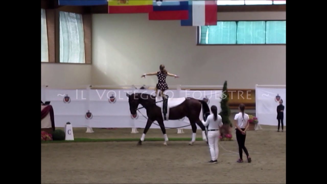 Campionato Italiano Volteggio 2019 - individuale D F over13 - 11&deg; Federica Brunetto