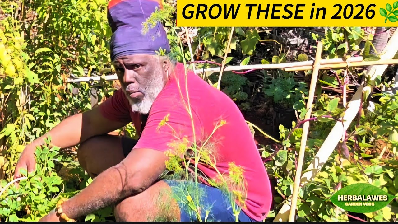 GARDEN TRENDS 2026 🌱 THESE HERBS WILL FEED YOUR BODY & SPIRIT | @Herbalawes 