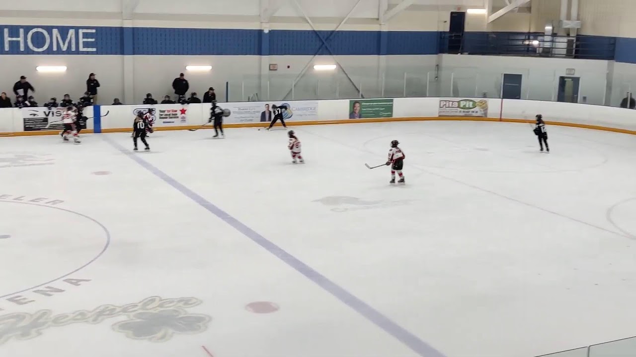 U11AA Okaville@Cambridge 8-0 hespler 20260222