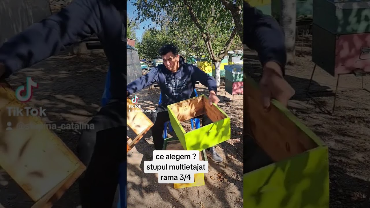 73.ce alegem ? stupul multietajat rama 3/4.