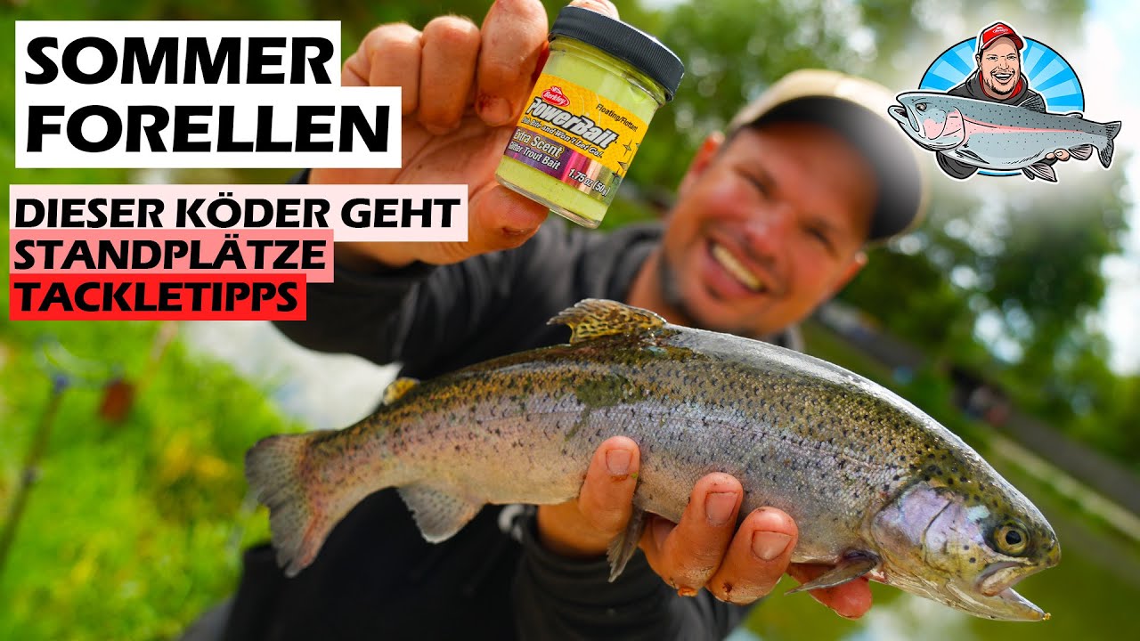 Sommerangeln auf Forelle – So klappt’s auch bei Hitze! 🔥