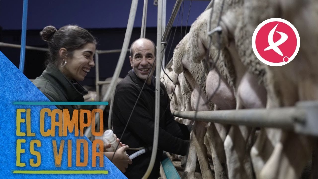 Esther muestra los entresijos de la sala de ordeño | El campo es vida