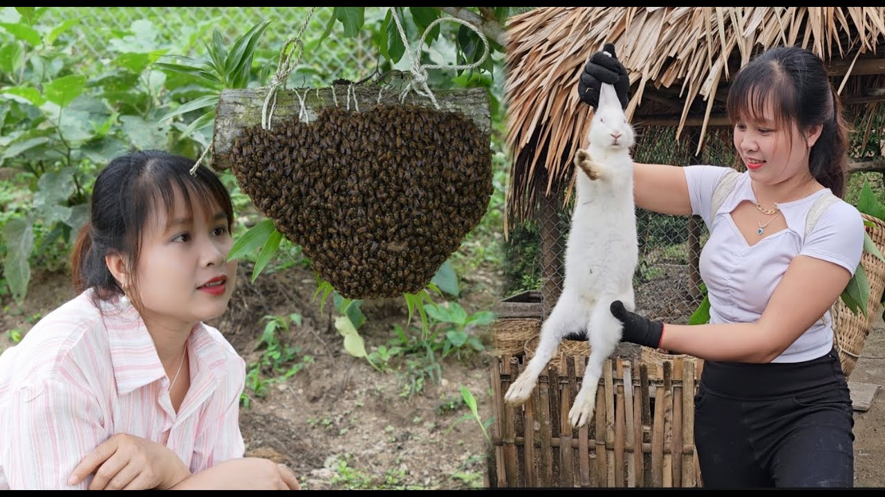 Source of life from nature. Build a farm, harvest fish and ant eggs and live relaxingly in nature