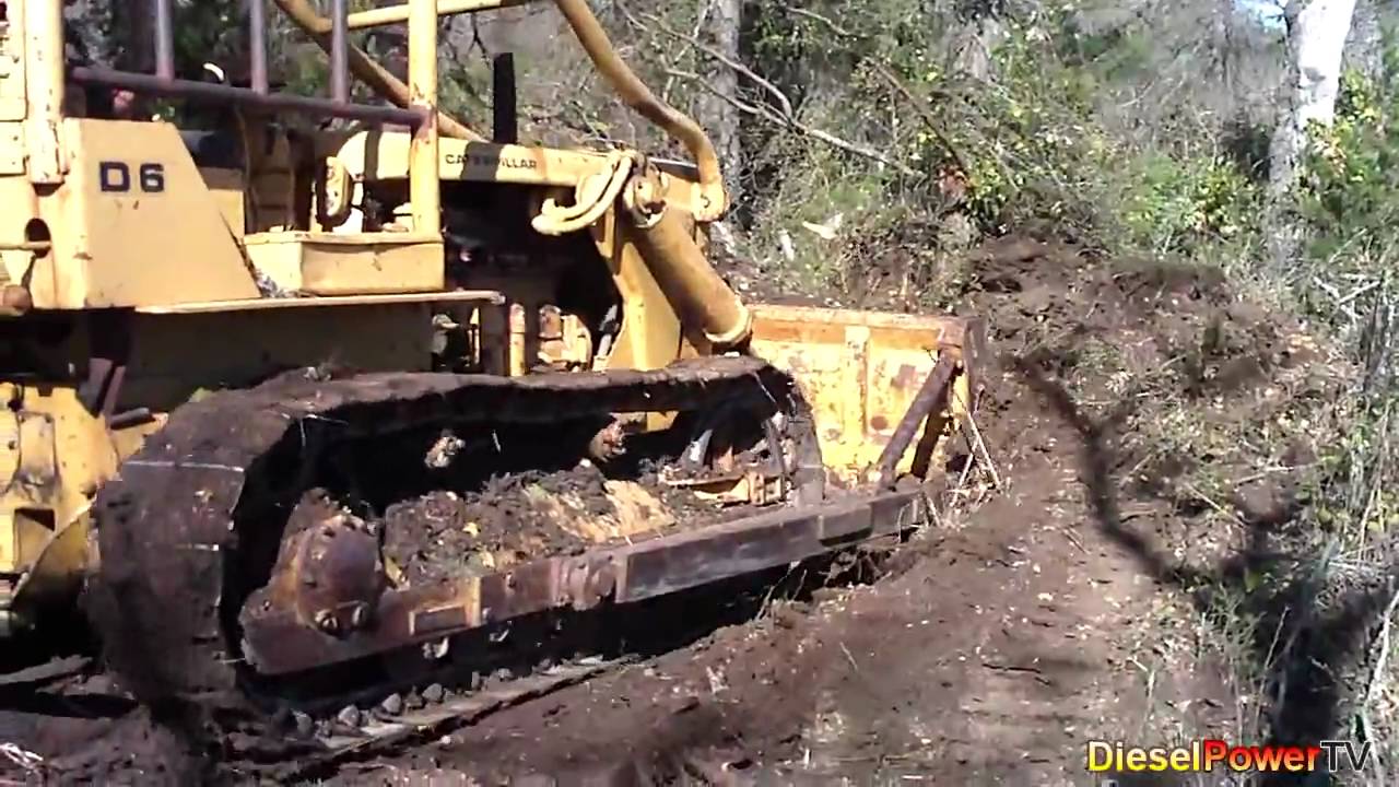 Super D6 VS Tree