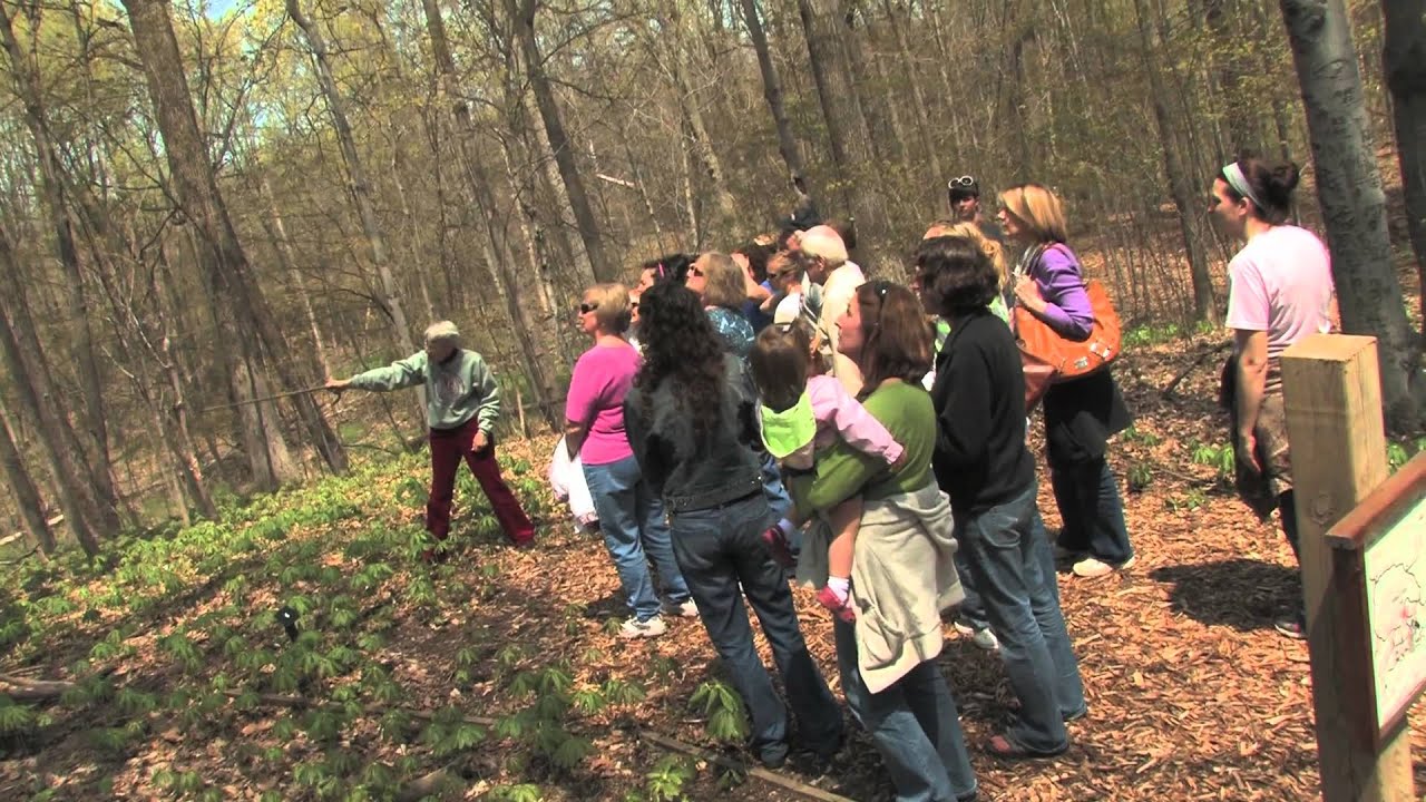 Come Explore Blandford Nature Center!