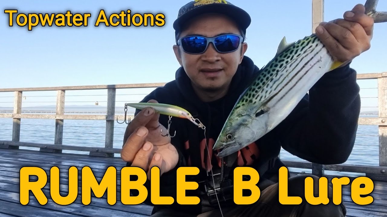 Catching Bonito on lures RUMBLE B |Redcliffe fishing