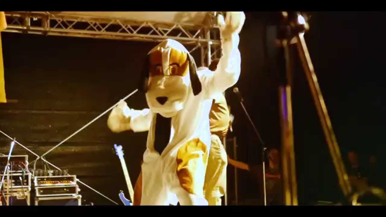Wutzdog Leeheim 2015