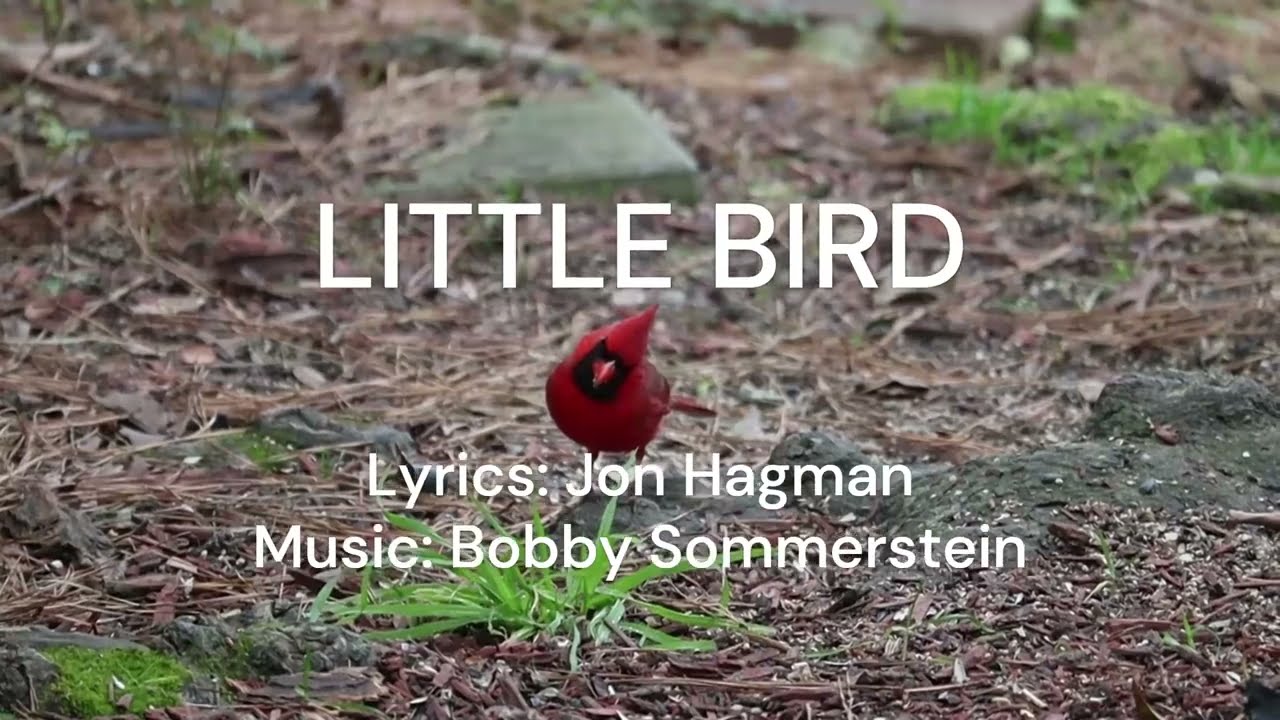 Little bird
