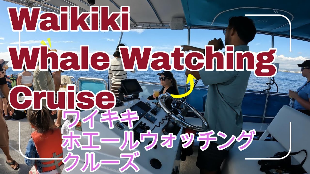 Aloha! 今回は家族全員でホエールウォッチングに行って来ました。 Welcome to Hawaii!  Waikiki Whale Watching Cruise, Patrt 3