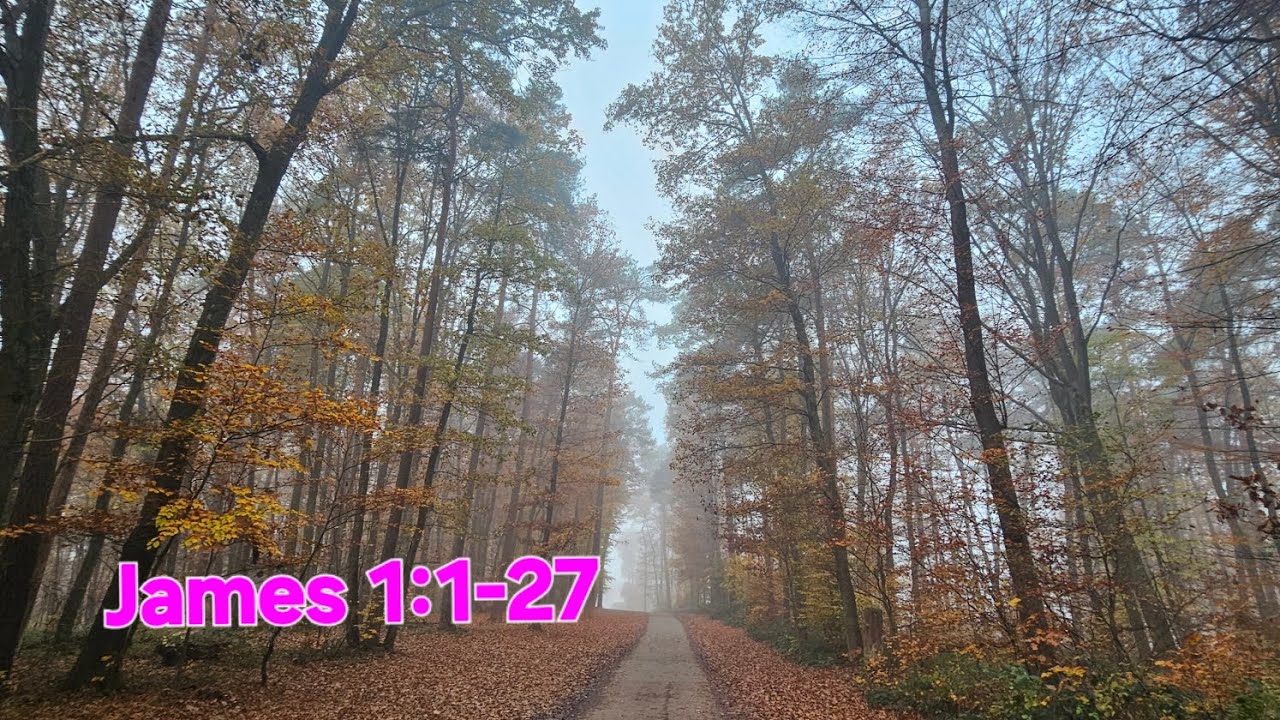 James 1:1-27