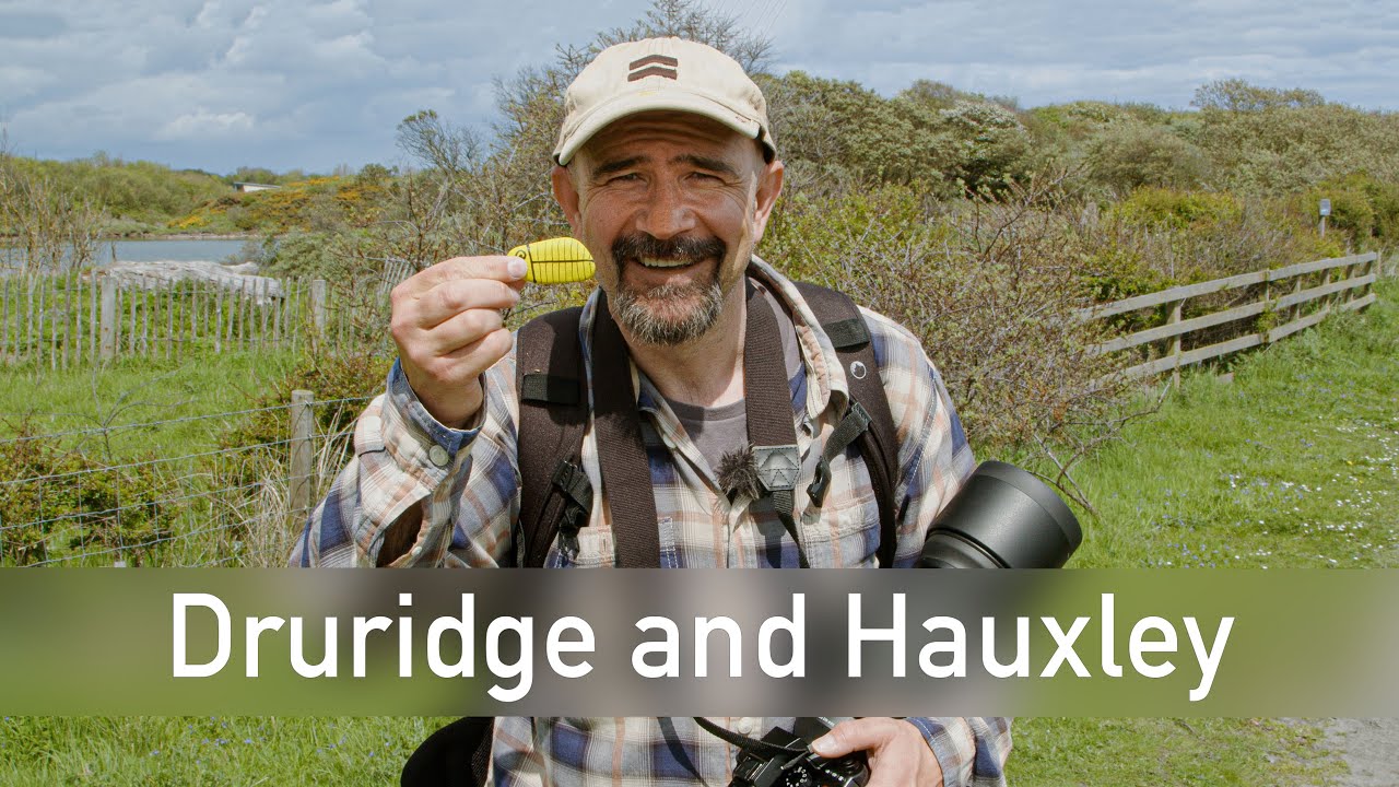Out and About at Druridge Bay - A History and Wildlife Walk - Northumberland
