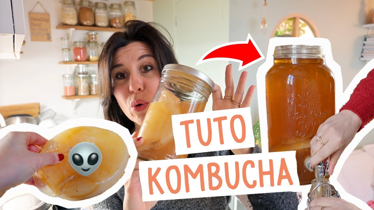 COMMENT FAIRE DU KOMBUCHA MAISON ? 🍹 ma recette, les erreurs &agrave; &eacute;viter, prendre soin de son scoby ...