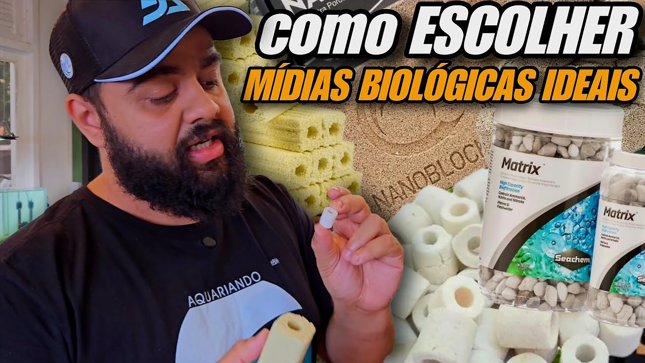 COMO ESCOLHER A MÍDIA BIOLÓGICA IDEAL PARA O SEU AQUÁRIO - DICAS PARA INICIANTES
