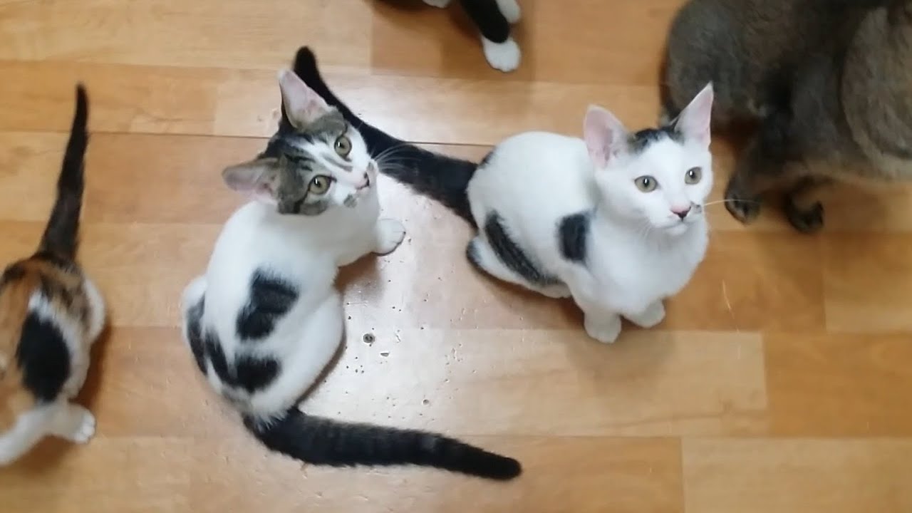 도수리 남매의 어린 시절😙