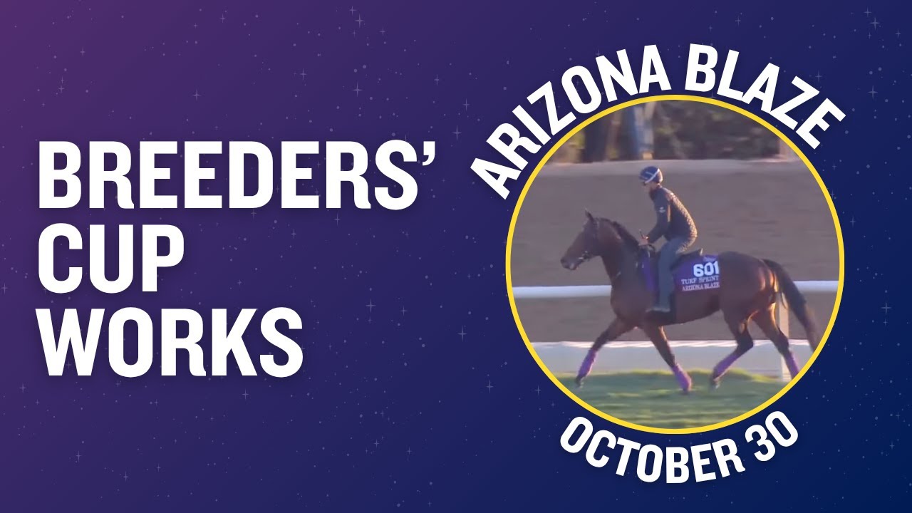 ARIZONA BLAZE (GB) Gallops at Del Mar October 30th