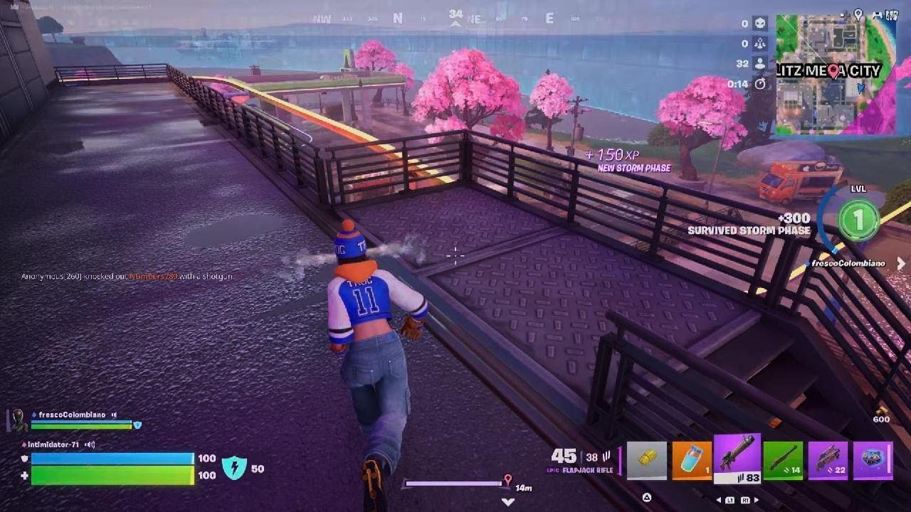 Fortnite_20260217141029