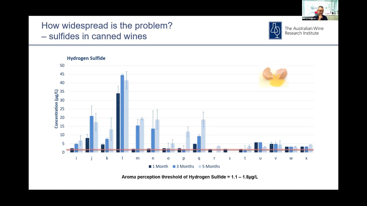 Extending the shelf life of canned wines