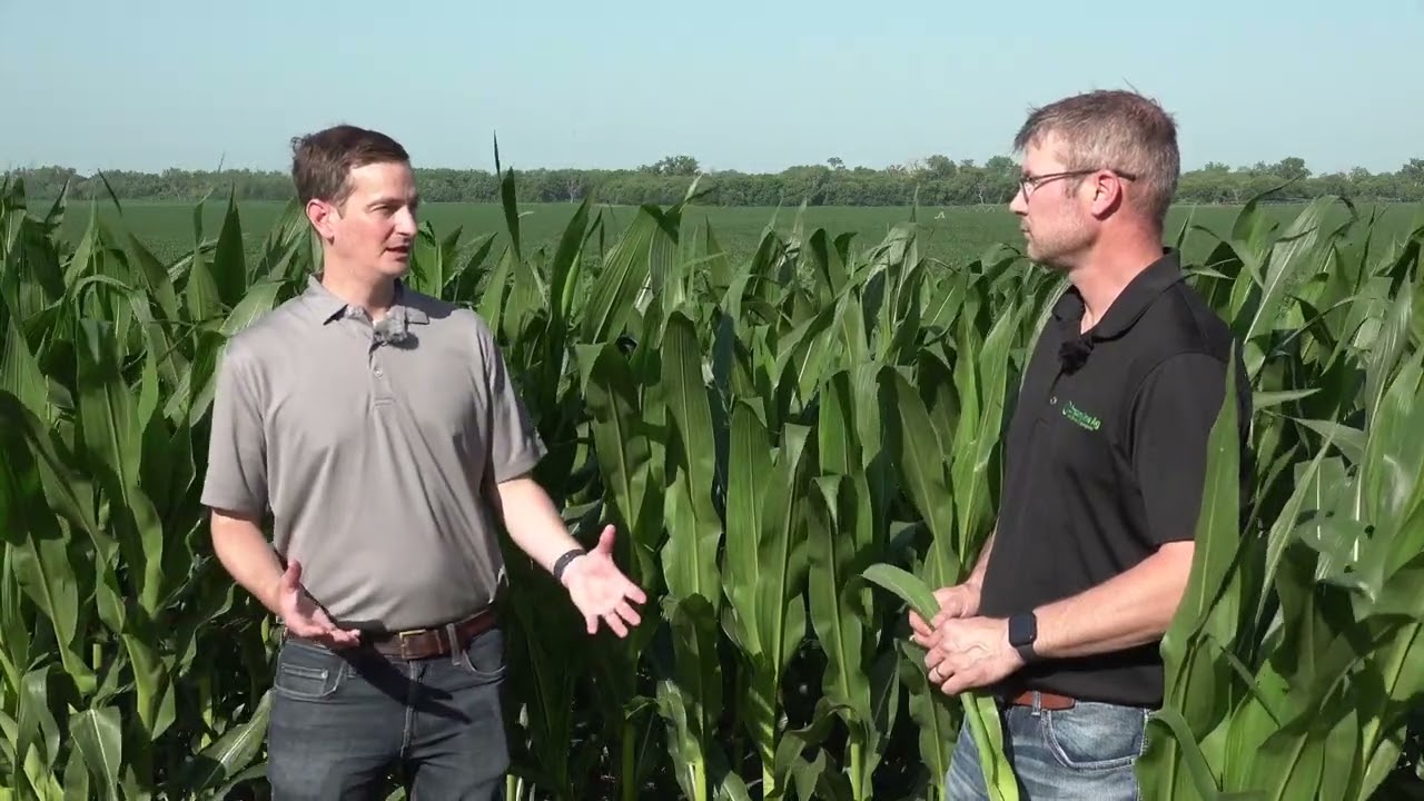 Foliar Nutritionals to Maximize Yield