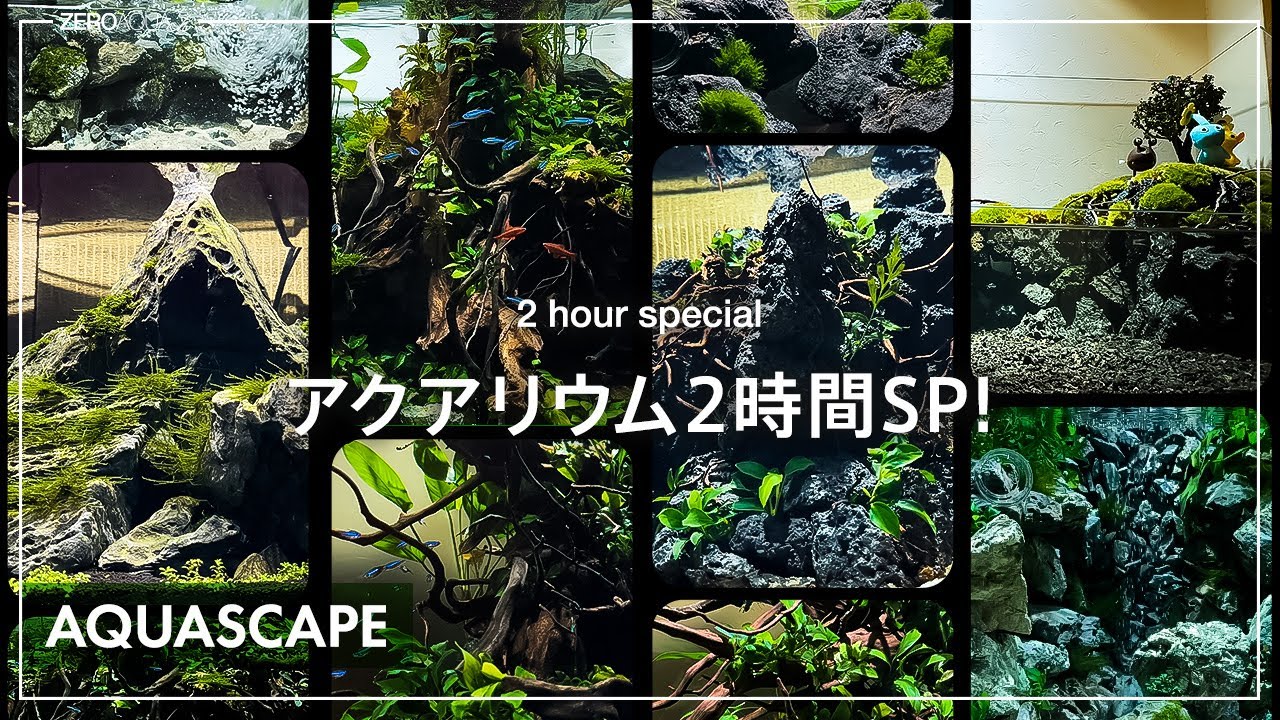 2時間ずっーと水景を作るだけの動画/CHILL BGM/aquascape/aquarium/nanotank/vlog/