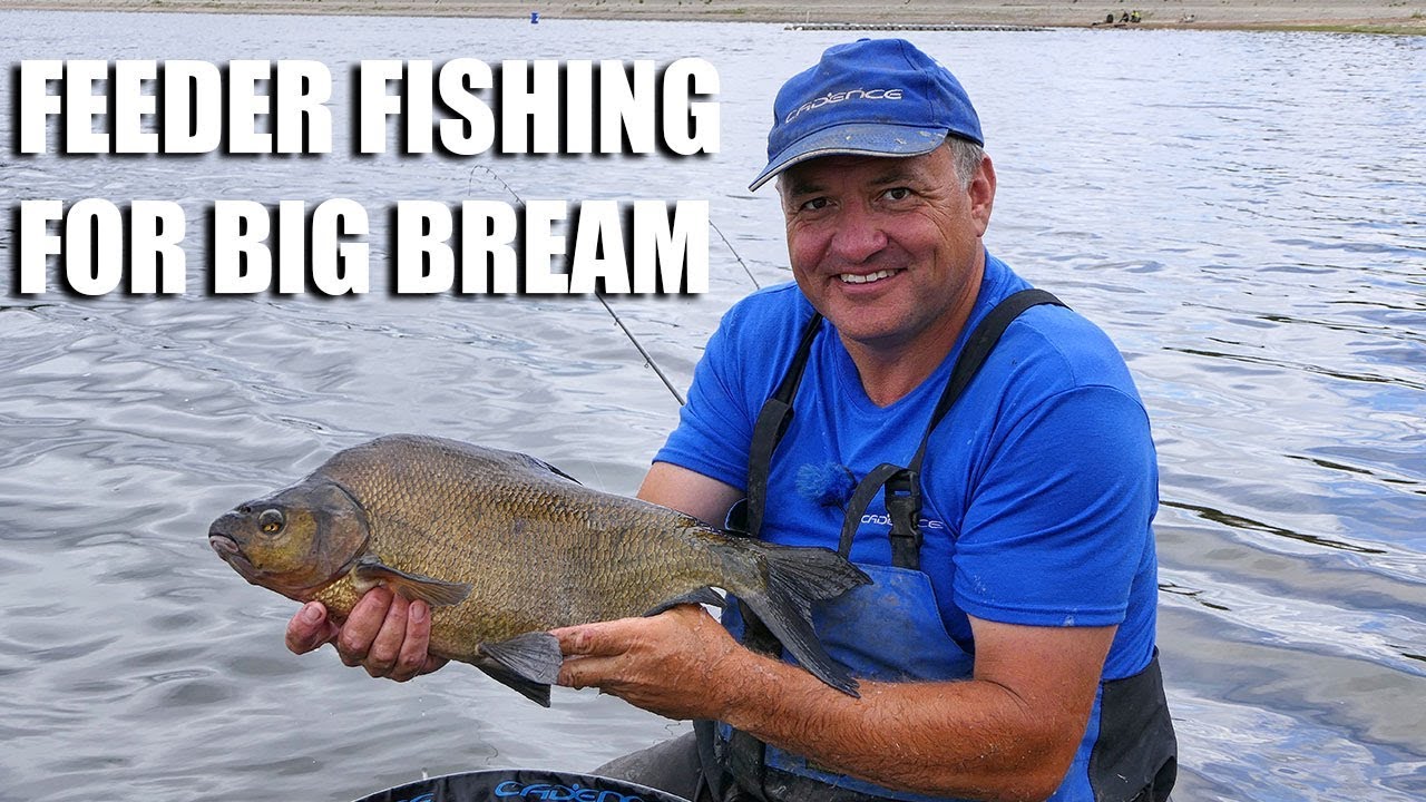 Feeder Fishing for Big Bream