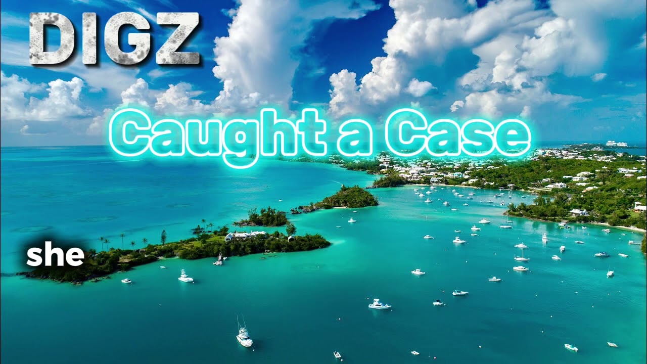 DIGZ - Caught a Case (lyrics)