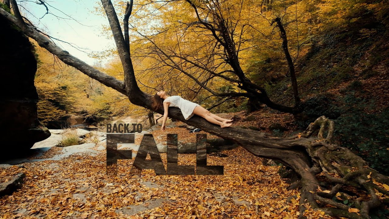 Back to fall
