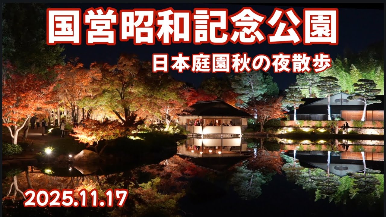 #国営昭和記念公園　#秋の夜散歩　日本庭園　ライトアップ