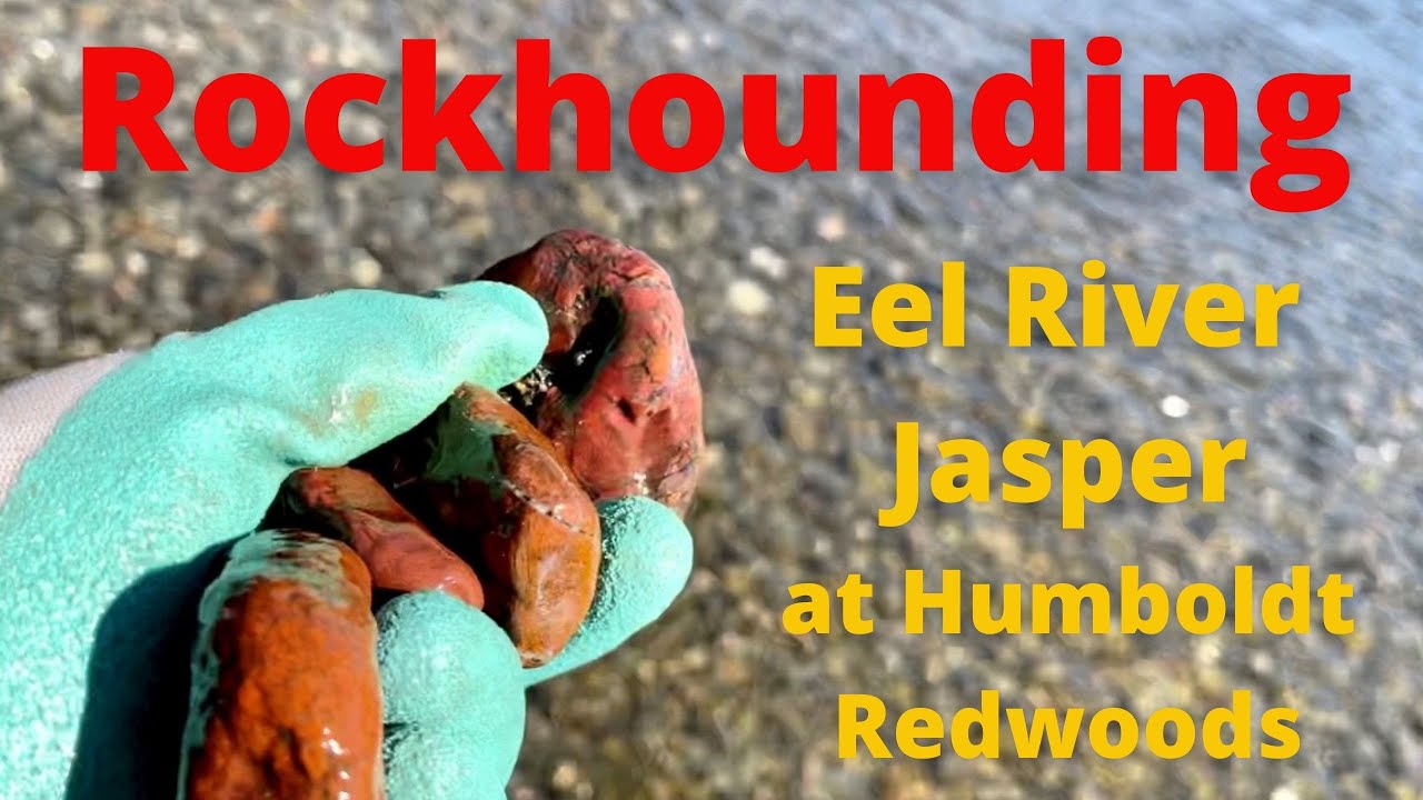 Rockhounding Eel River Jasper at Humboldt Redwoods