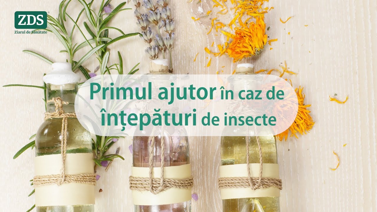 Primul ajutor în caz de ÎNȚEPĂTURI de INSECTE