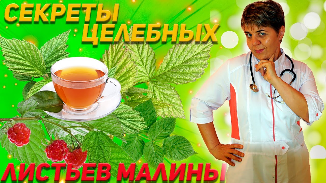 💊Малина. Чай из листьев малины.