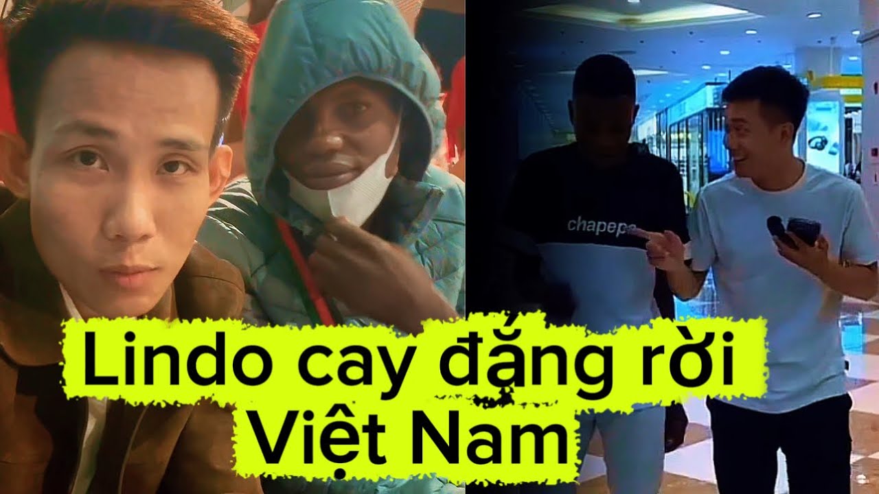 Quang Linh vlog mới nhất : Lindo thất bại cay đắng rời Việt Nam #teamchâuphi #quanglinhvlogs 