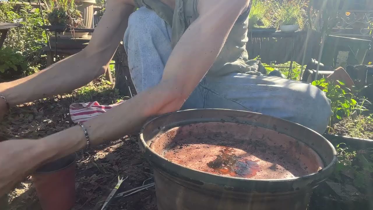 Repotting random plants