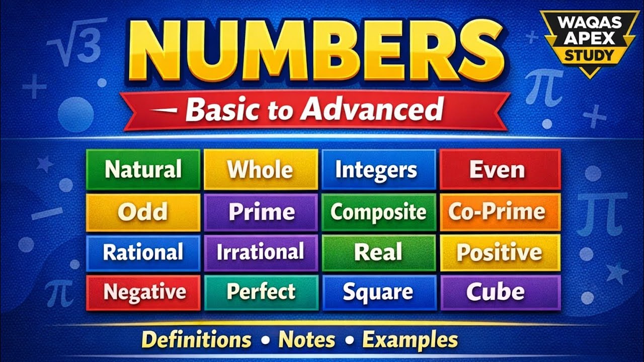 All About Numbers | Easy Guide with Examples & Notes | Types of Numbers 
