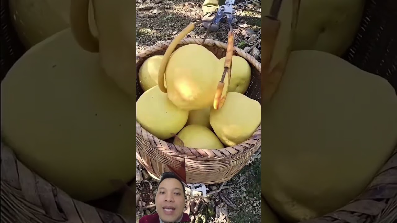 công cụ hay 